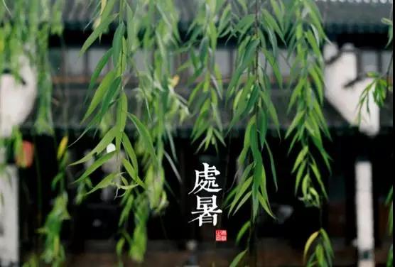 處暑養(yǎng)生小常識(shí)，謹(jǐn)記滋陰潤(rùn)肺防秋燥