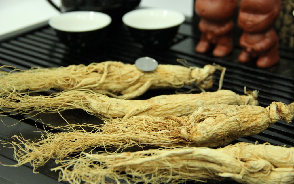 什么是人參皂苷？它對(duì)人體的健康有哪些功效？