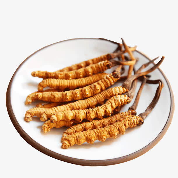 冬蟲夏草菌絲體是如何產(chǎn)生的？