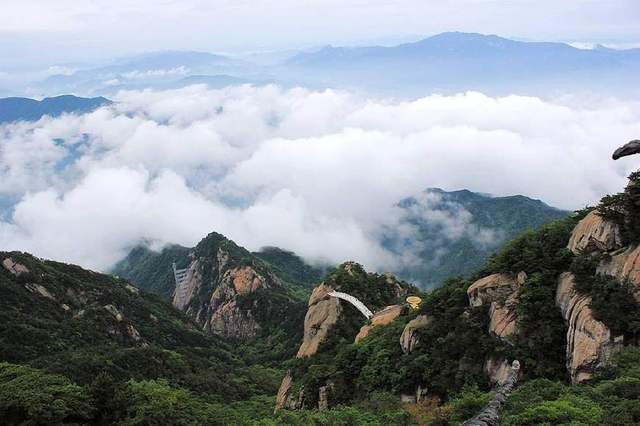 大別山的靈芝孢子粉為什么好？