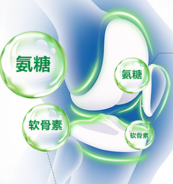 骨關(guān)節(jié)養(yǎng)護(hù)“潛力股”，氨糖的作用有什么？